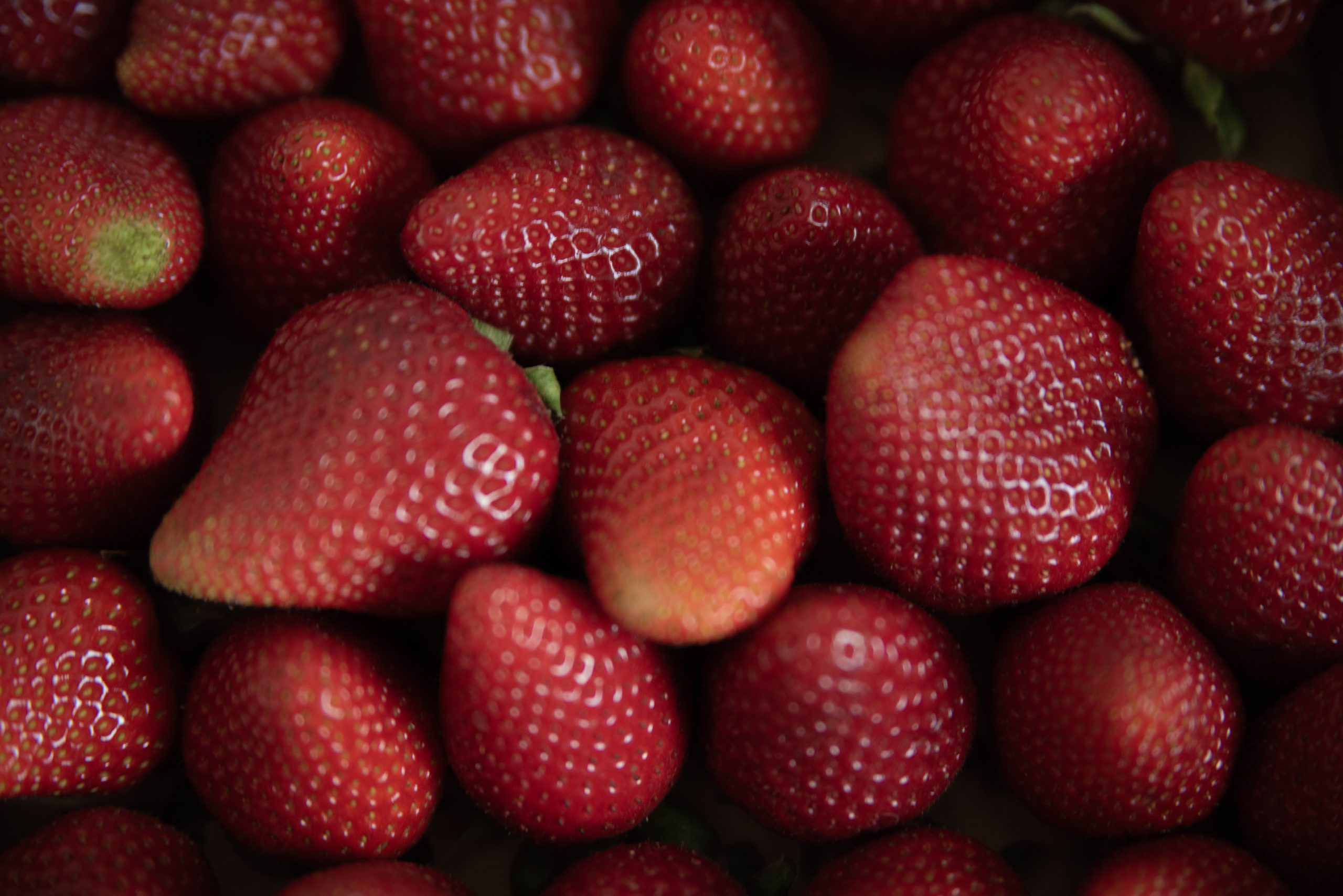 Erdbeeren