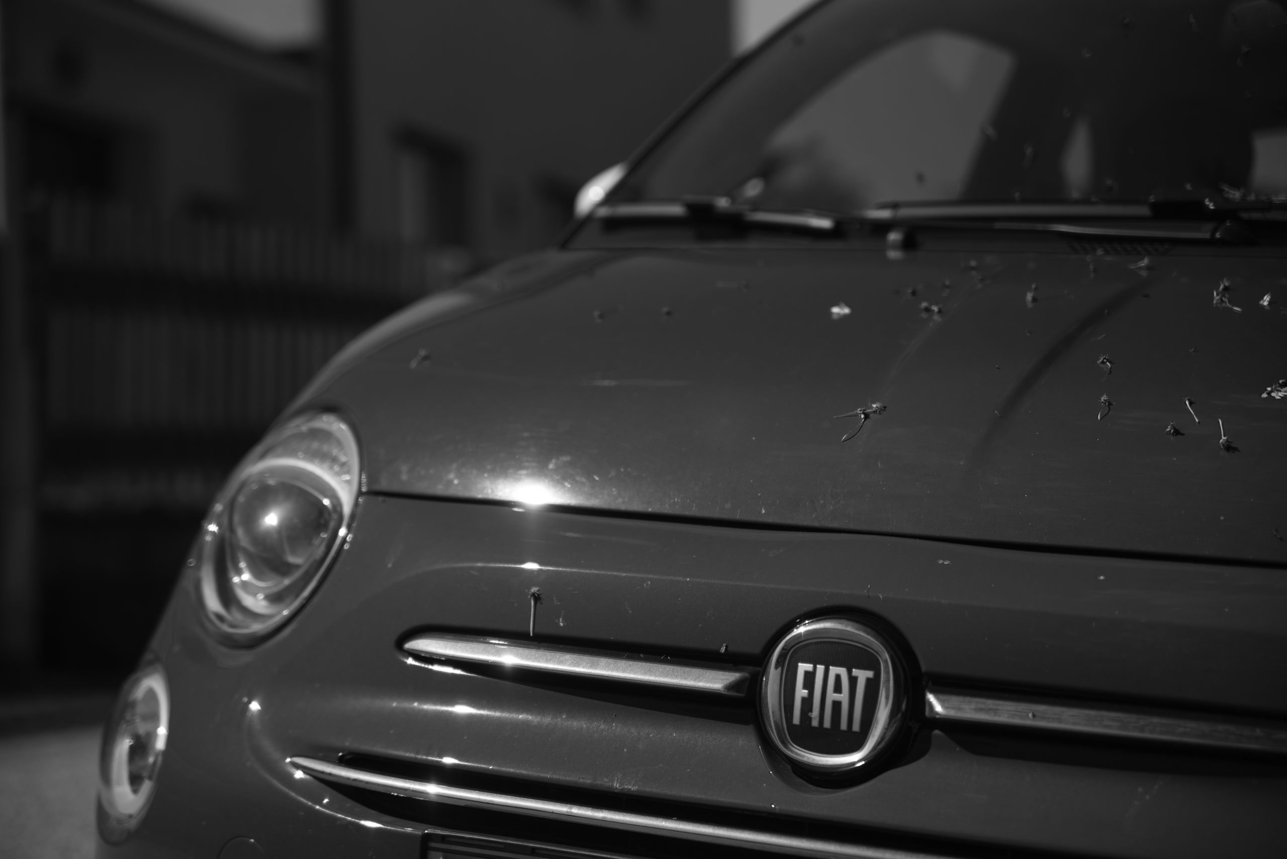 auto_Monochrom